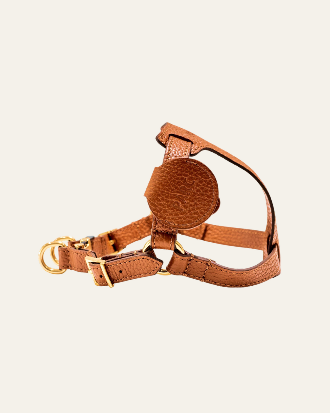 PARC Classic Harness used for dog harness sizing guidance