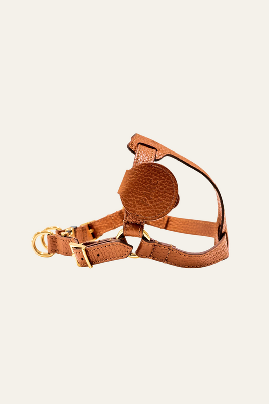 The Classic Harness
