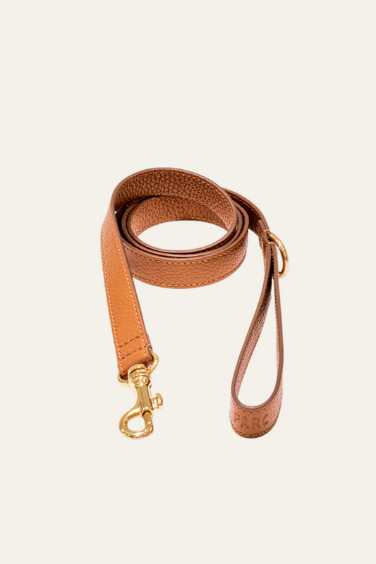 The Classic Leash